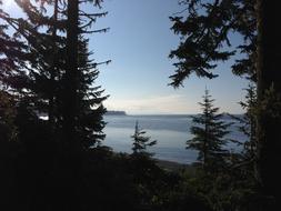 IMG_0678.jpeg